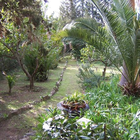 Finca Hotel Son Pont Puigpunyent  Exterior photo