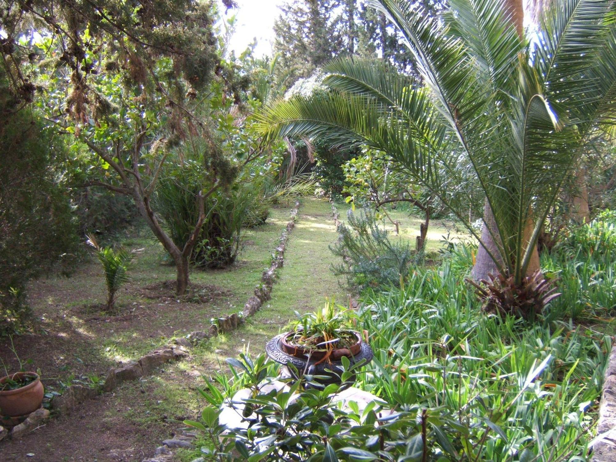 Finca Hotel Son Pont Puigpunyent  Exterior photo